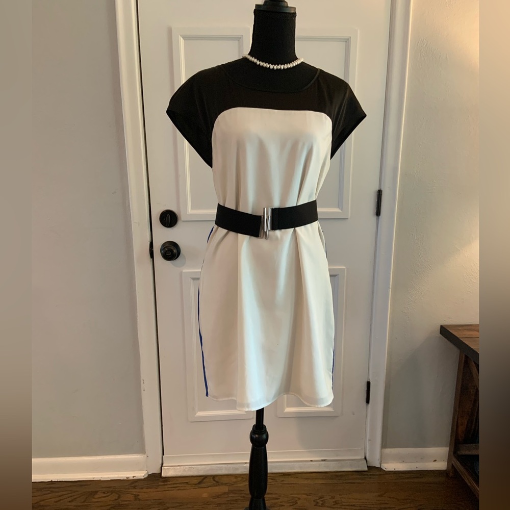 Express Cocktail Shift Dress - Picture 3 of 6